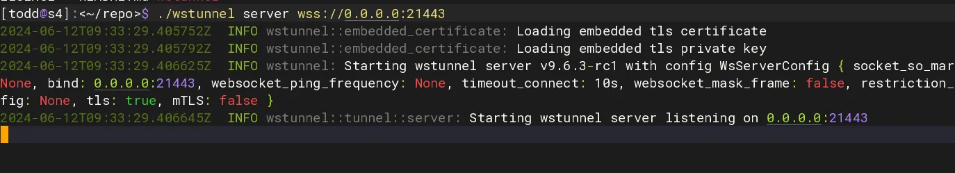 wstunnel server running